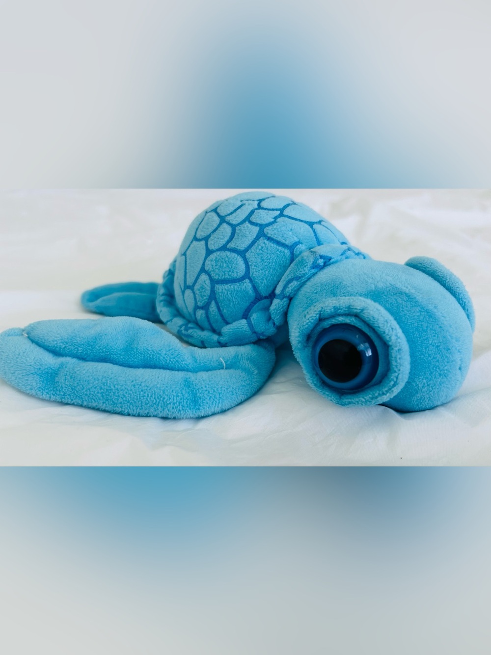 Blue Plush Sea Turtle Pet  Toy - Soft Comfort